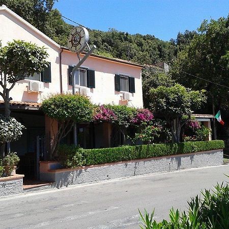 Da Zio Pino Hotel Маратеа Екстериор снимка